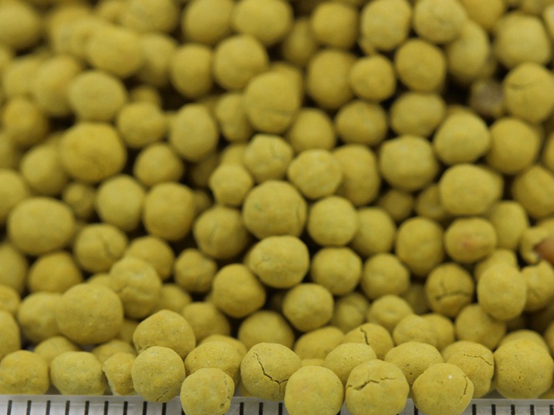 包衣紅三葉種子 包衣紅三葉種子