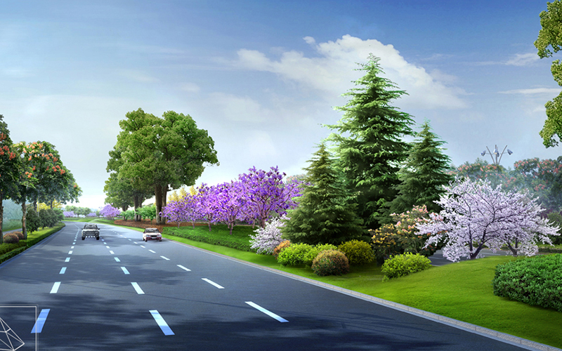 道理公路街道馬路高速國道園林綠化苗木品種 道理公路街道馬路高速國道園林綠化苗木品種